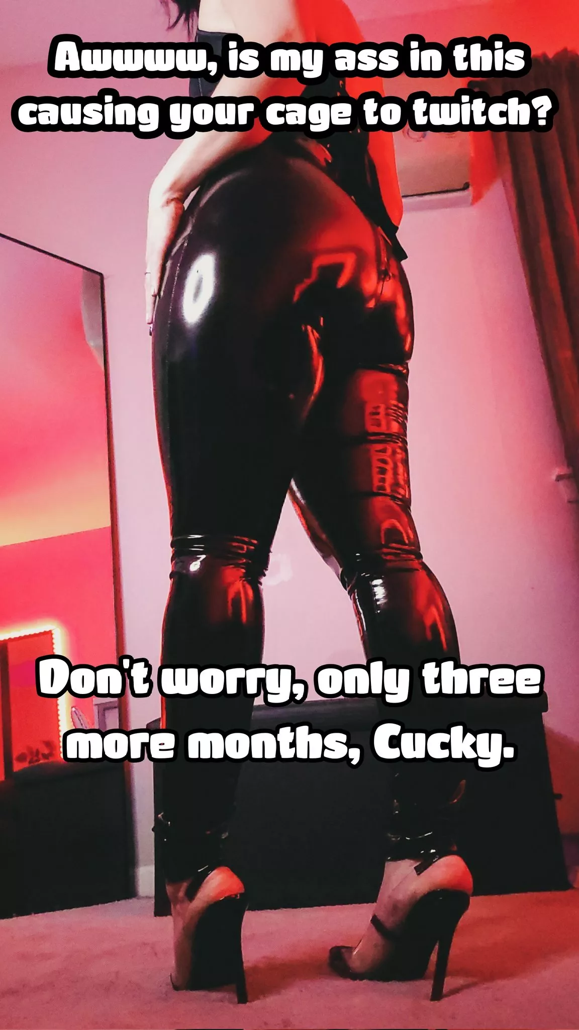 all dressed up for My bull.