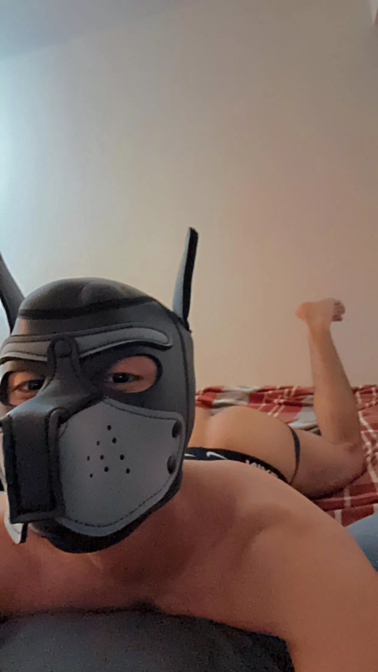 Any pups want to chat?🐶