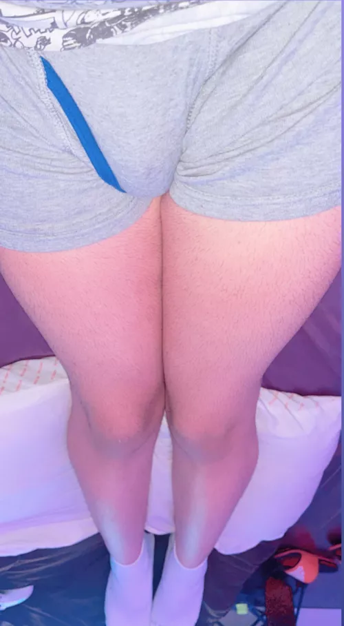 Boxers be the best to relax at home 🥰