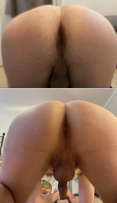 Hairy or smooth ya’ll?