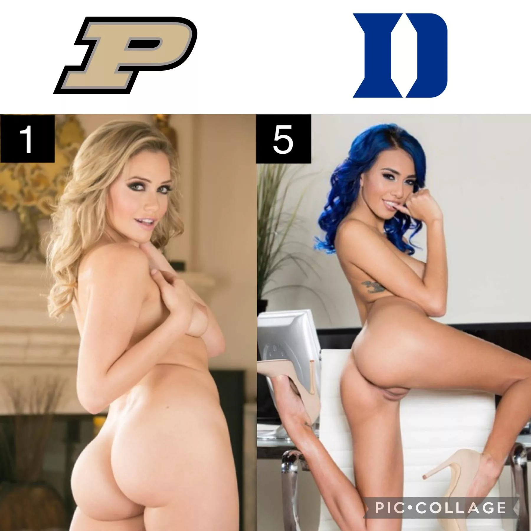 Pornstar March Madness: Sweet Sixteen [Mia Malkova] vs [Janice Griffith]