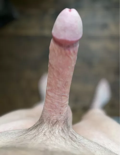 Portrait mode is cool 👌