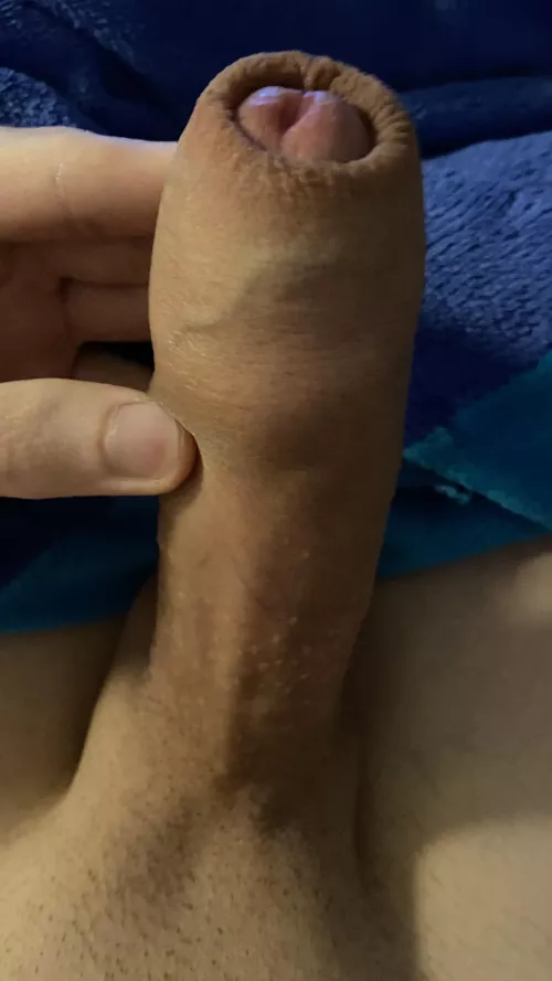 what would you do with him?