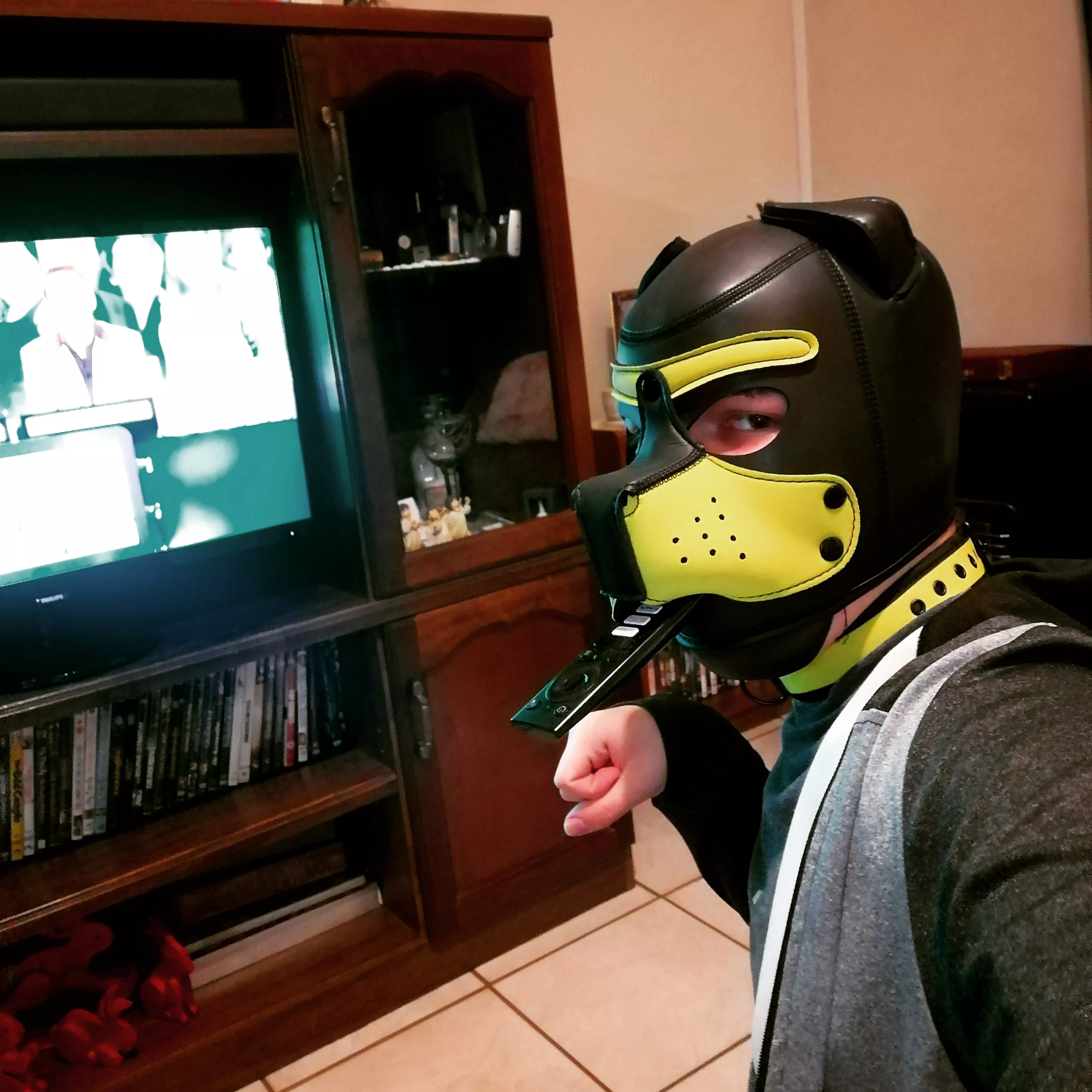 Who wants to watch some TV with me? 💛😊