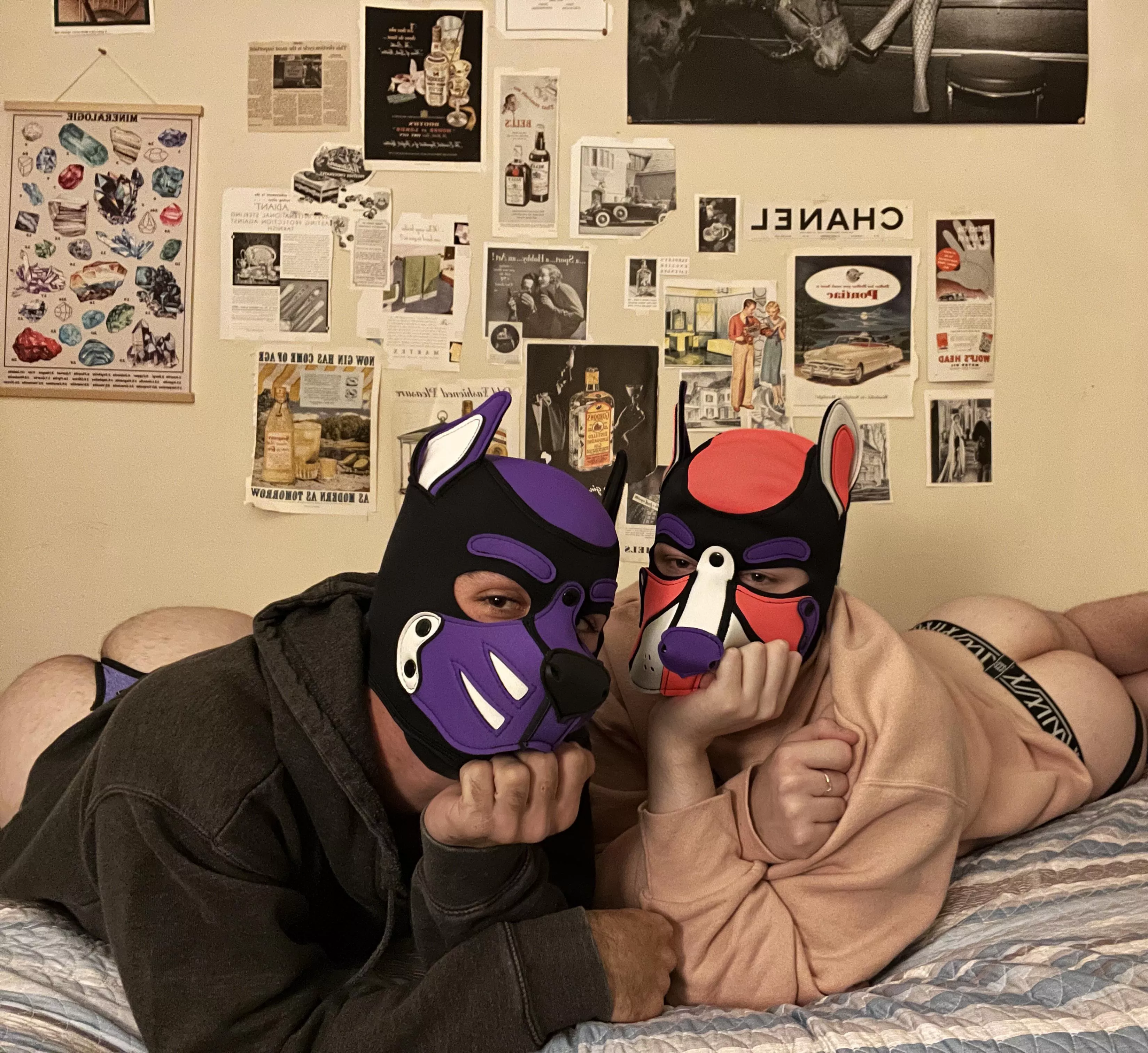 You know. Just a pair of pups having a good time.