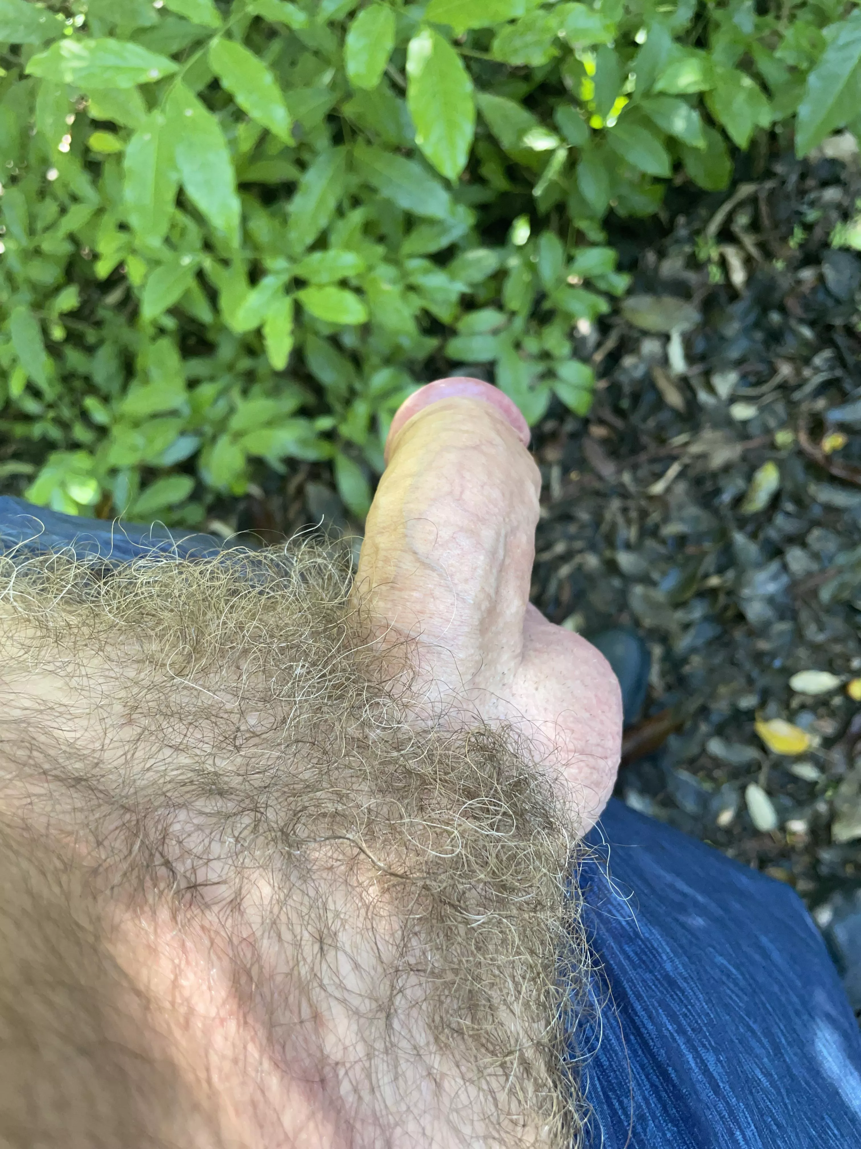 A needed a breather while walking this AM. What if you saw me?