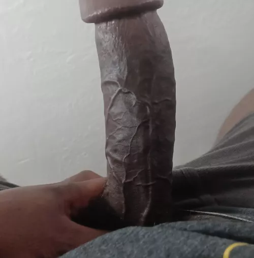 Big Bay Area dick for your pleasure 😘