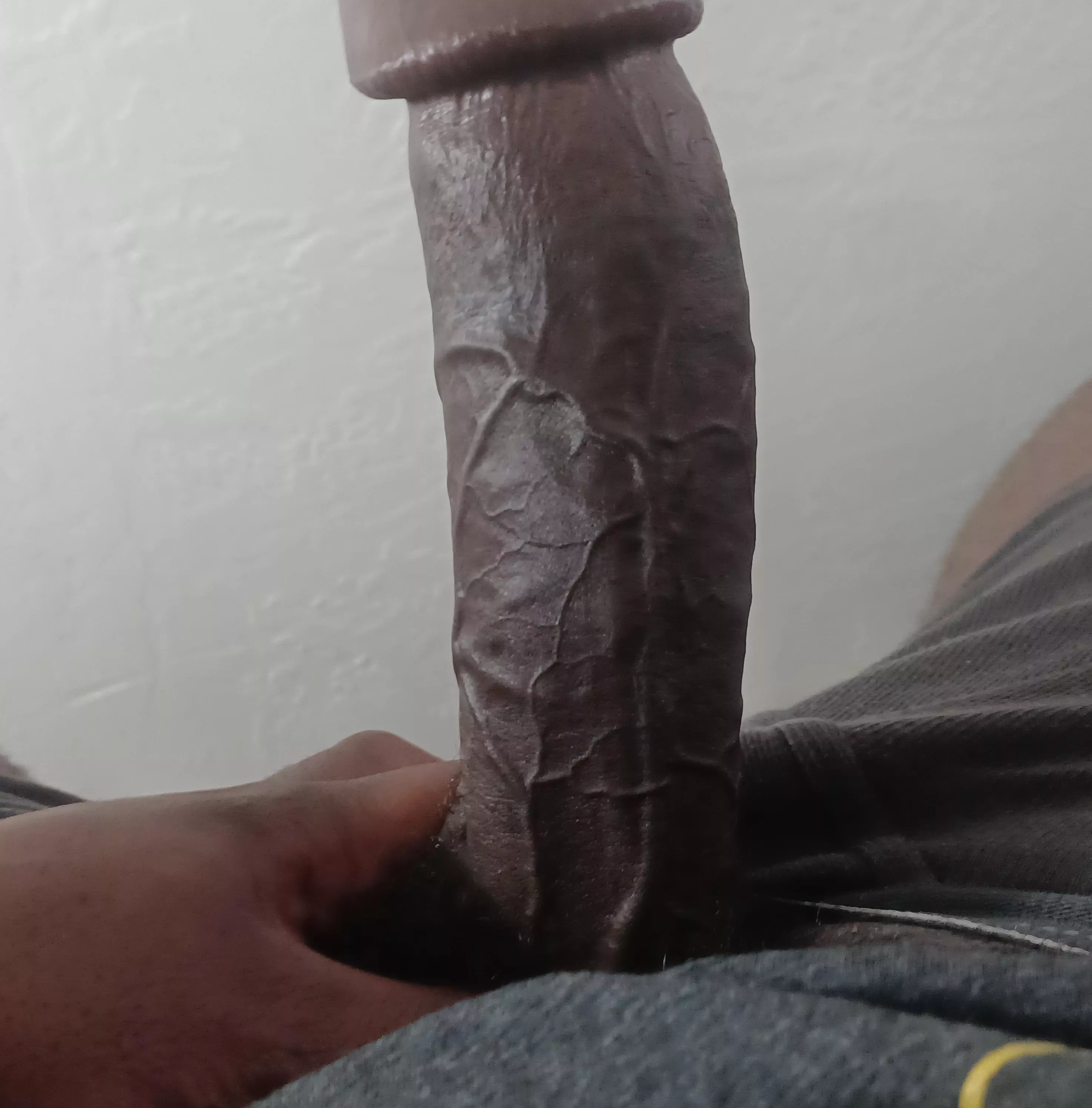 Big Bay Area dick for your pleasure 😘