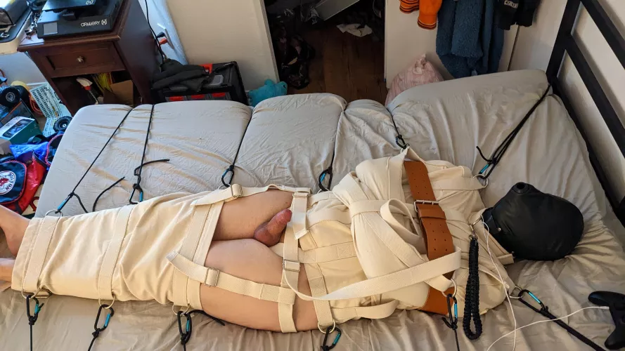 Boi all nice and bound.