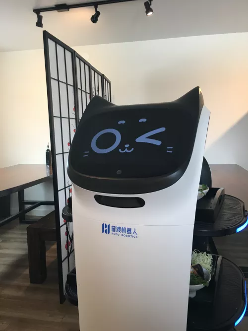 Decided to eat at the sushi place that just opened in my area… this lil guy served me