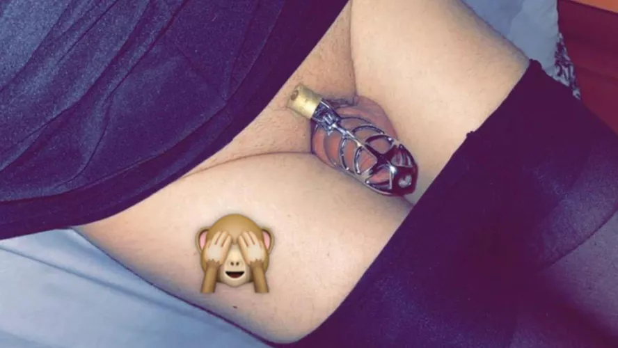 I have our grown my cage and need a smaller one… got a nice pink one on my wish list if only I could get spoilt…