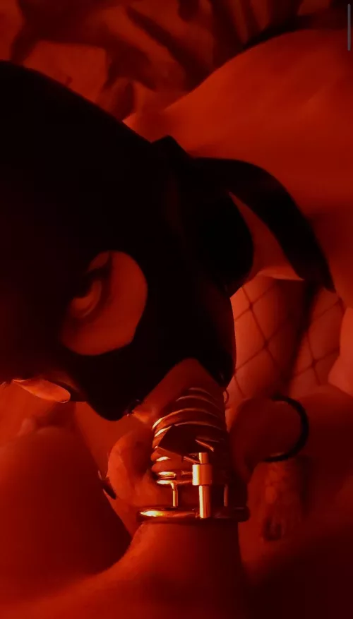 I love to hear him moan while I suck on his cage