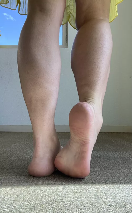 If a cow doesn’t produce milk, is it a milk dud, or an udder failure?