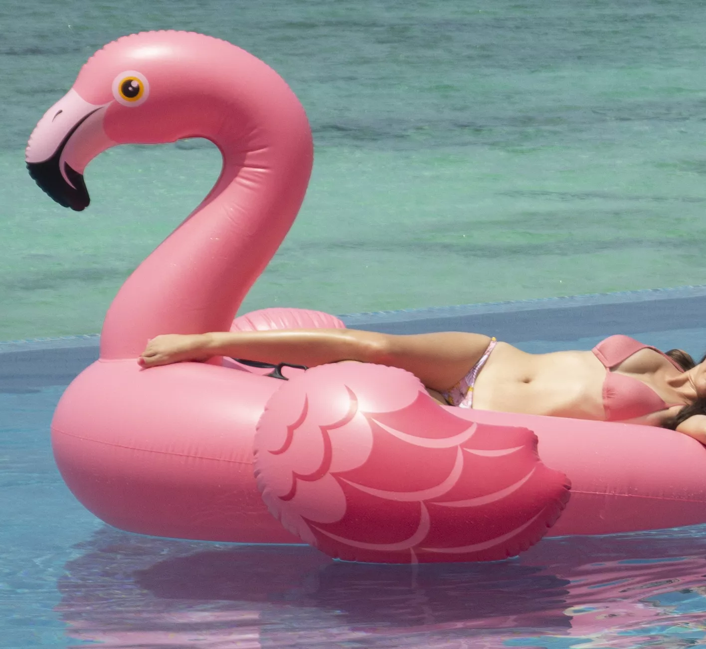 If you want me, come and get me