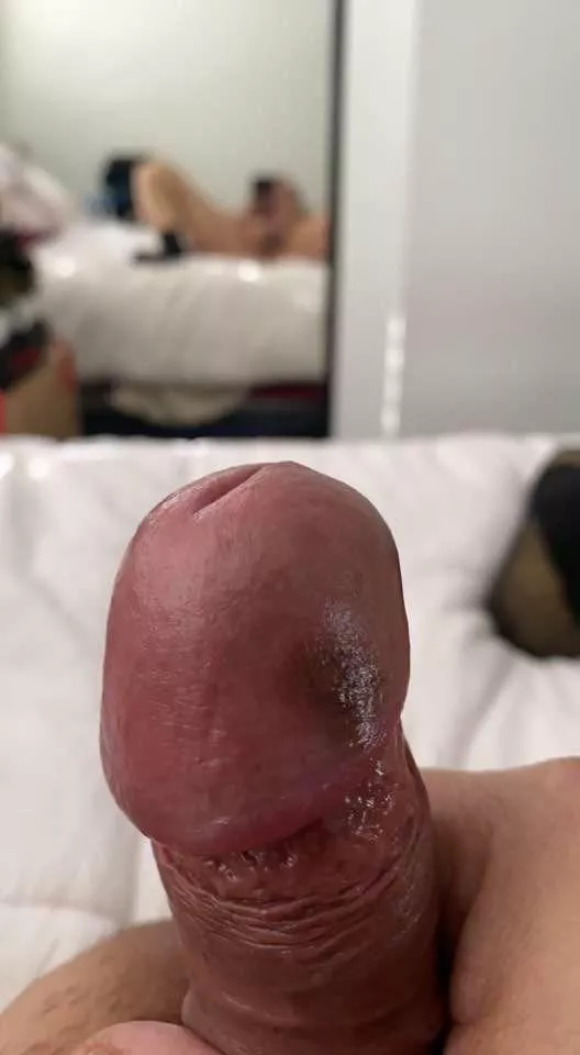 Mushroom for breakfast