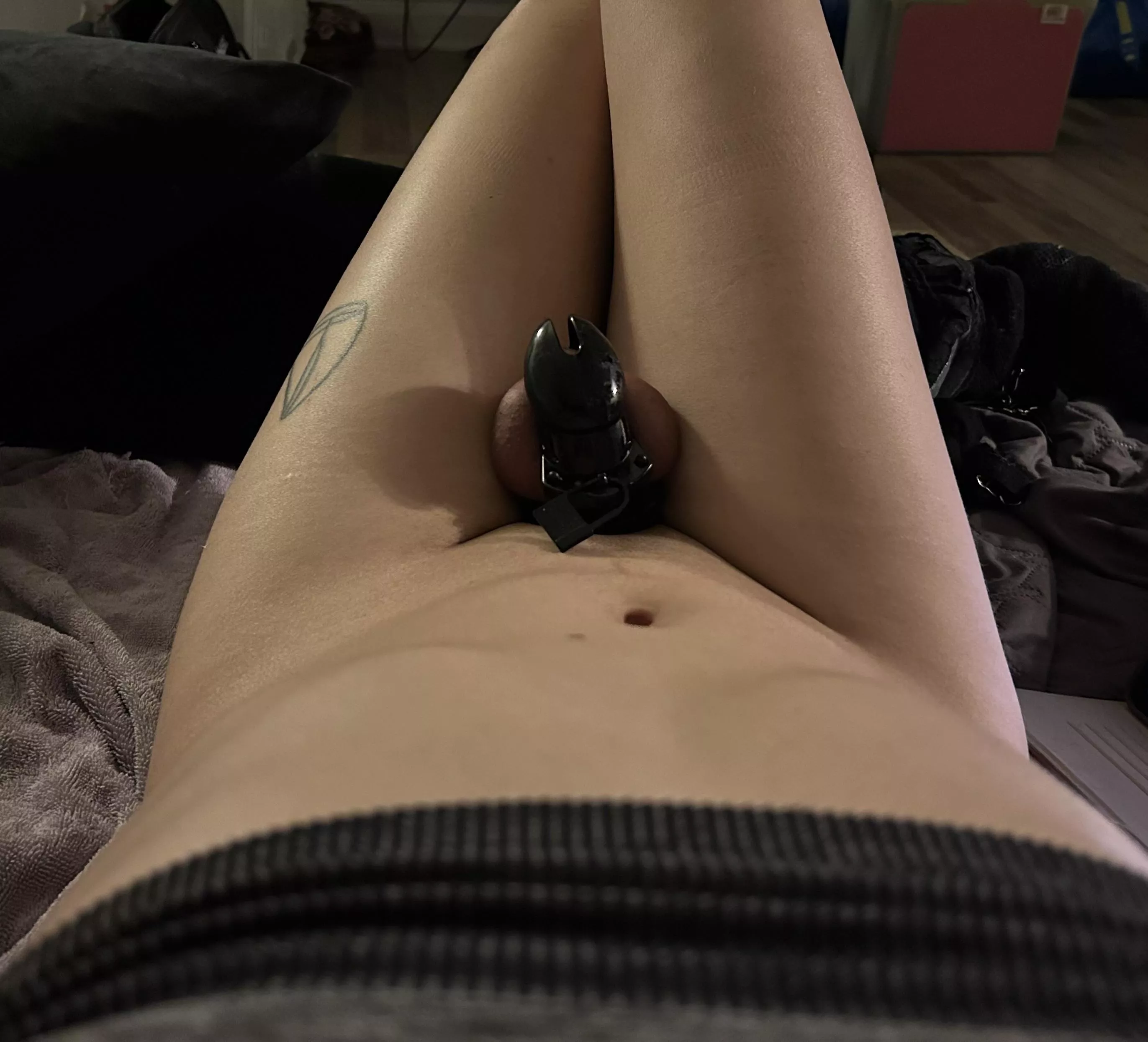 My Dom is gone for the week no getting out now.