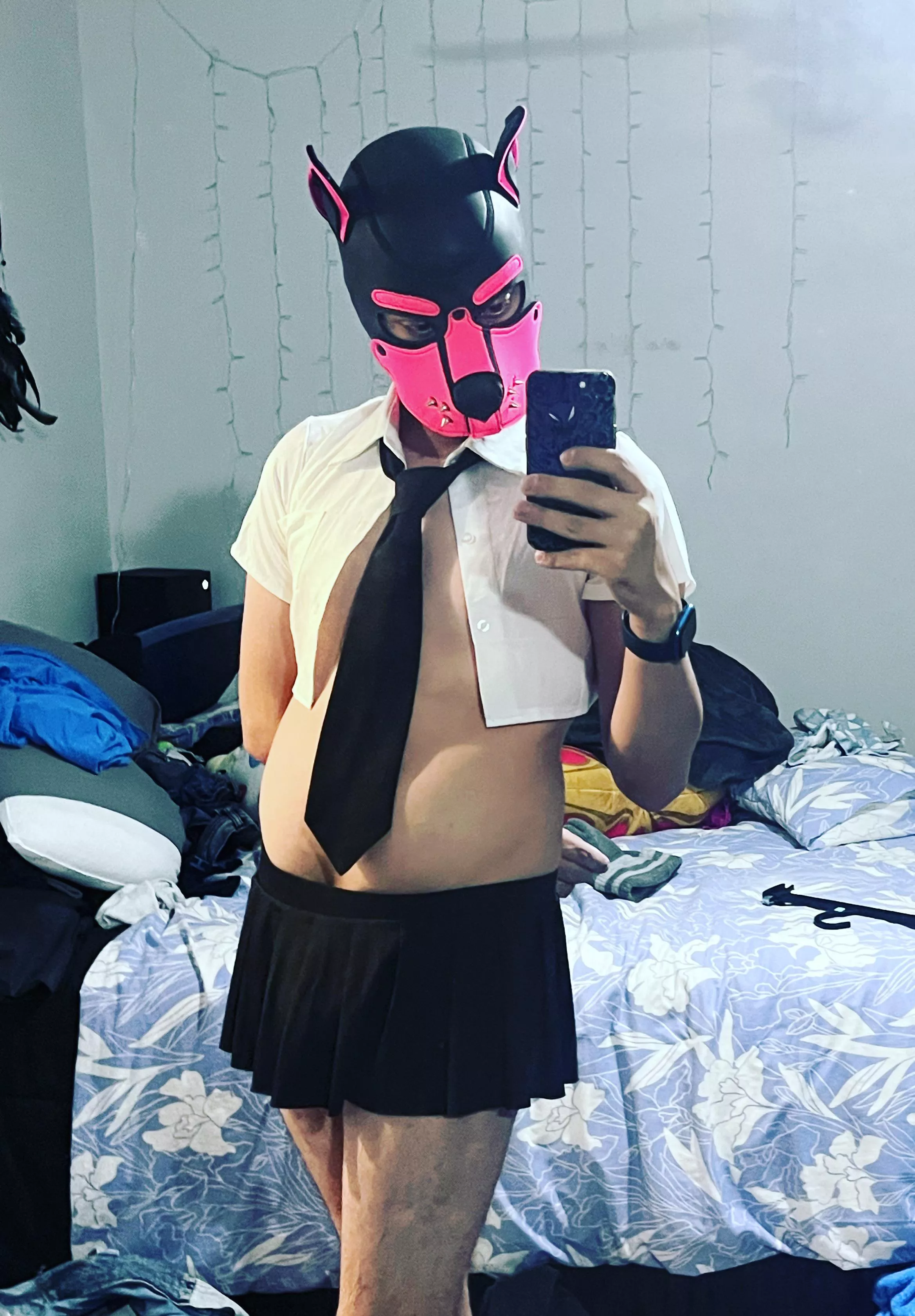 Naughty school puppy