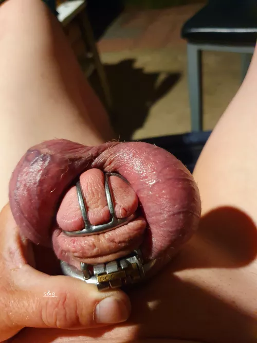 No pussy for this little guy.