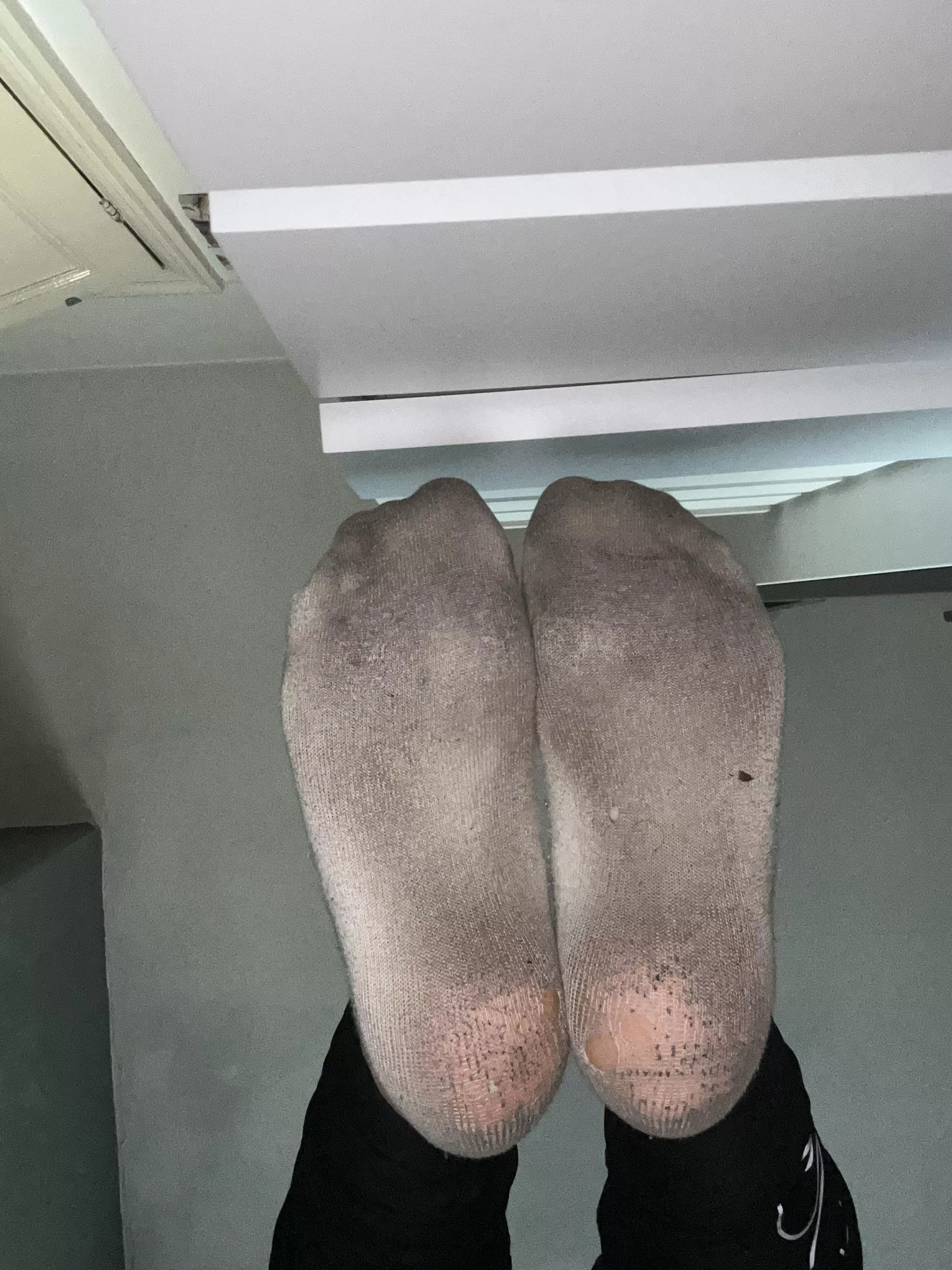 Shall I bring them closer?🤔