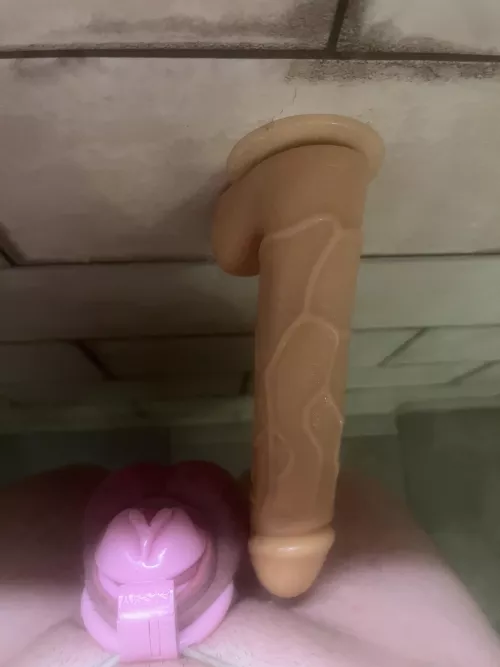 Showers often serve as a reminder as to why my clitty is in chastity