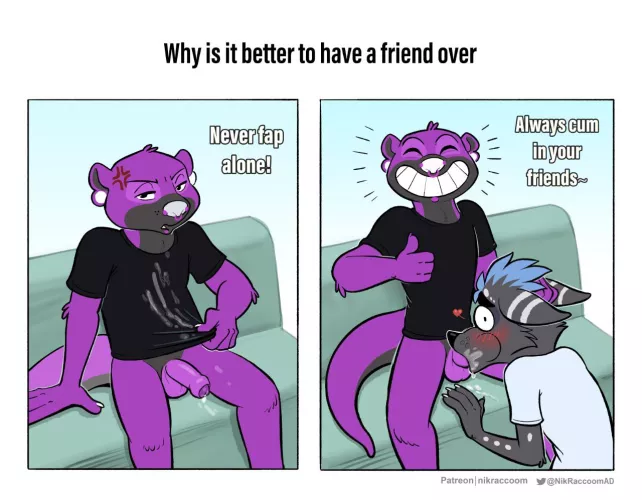 The Importance of Having Friends (NikRaccoomAD)