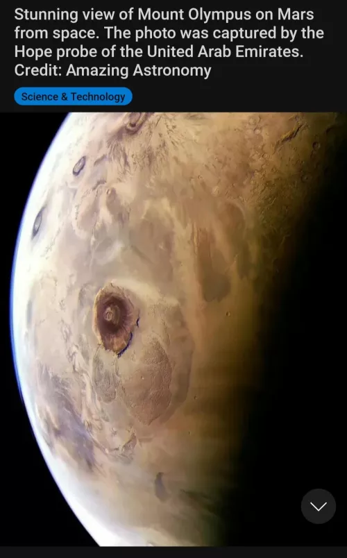 The Ultimate Pimple !