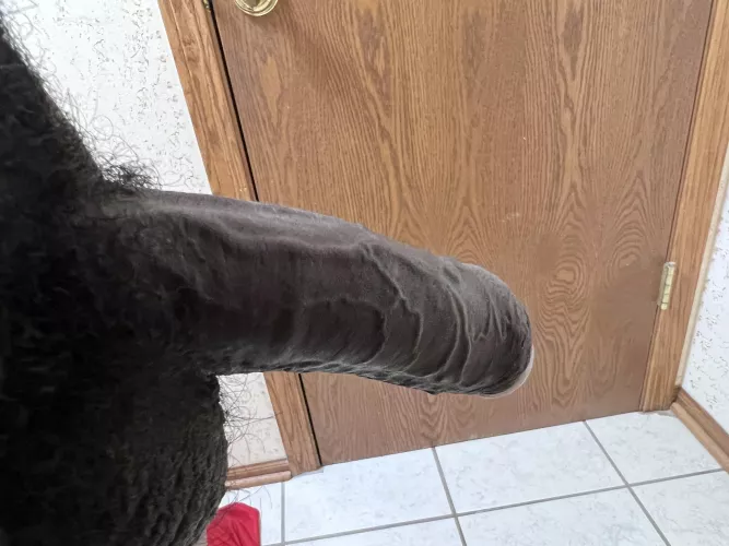 Thick enough for you?