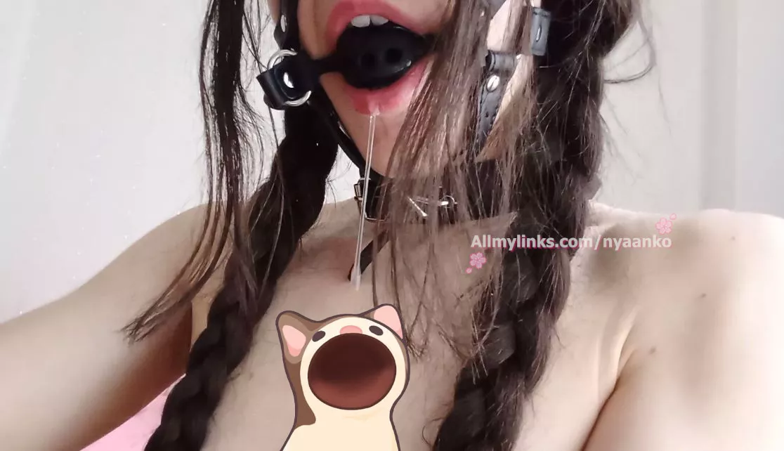 Trying my head harness gag