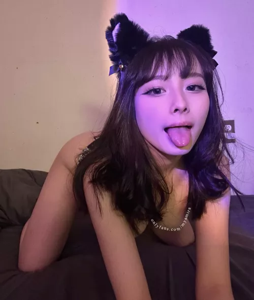 Wanna pet this cute kitty?