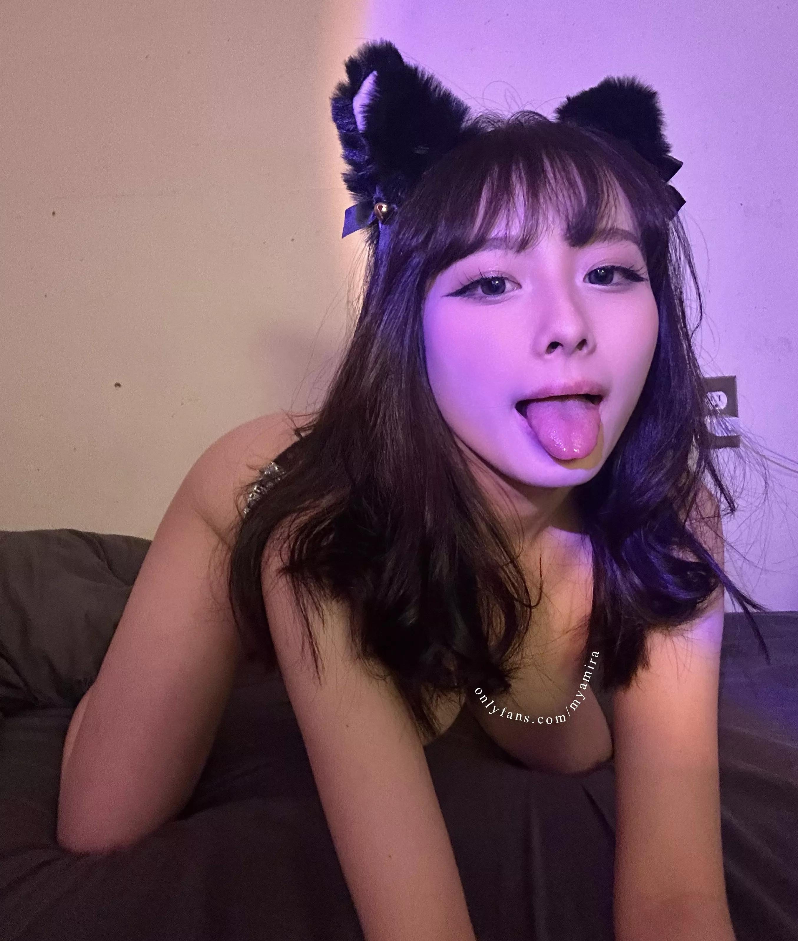 Wanna pet this cute kitty?