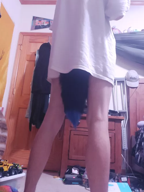 What do you think of the tail?