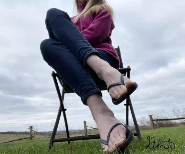 Would you stop and stare?