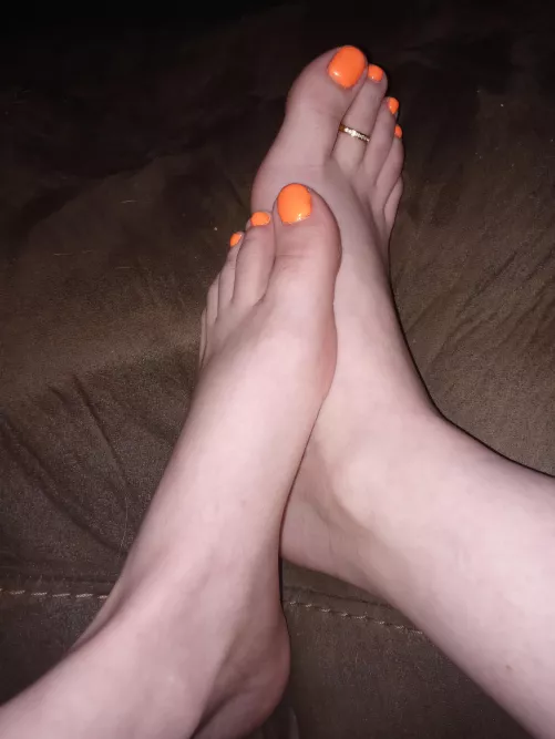 Would you taste my bright orange toes? 😋