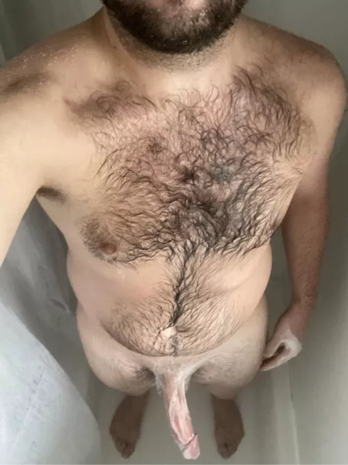 29M Metro Detroit Michigan - Spring has Sprung