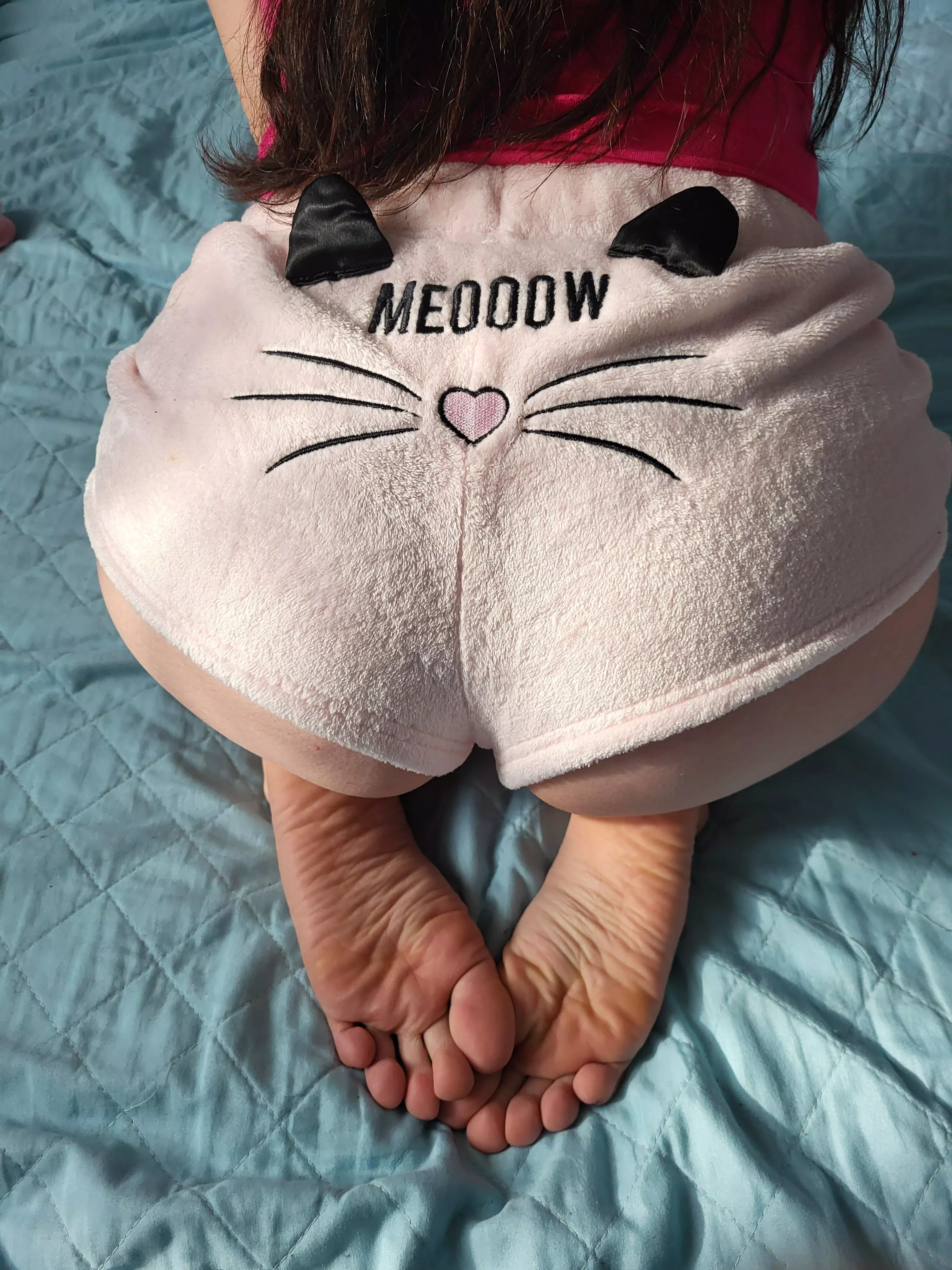 Bend me over until I meeow (OC)