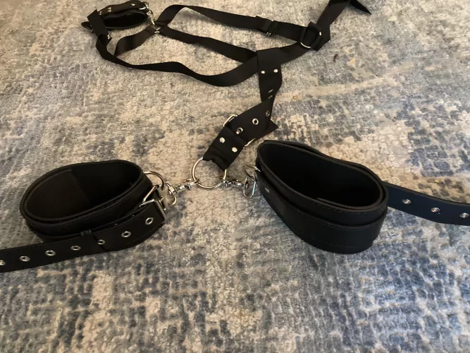 Bought a hog tie with my husband and not sure how to use it. We accidentally threw the instructions away. Does anyone know where we could find a copy of them?