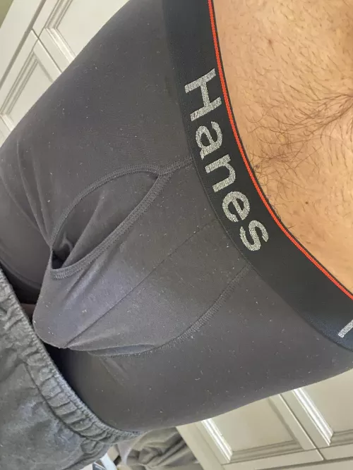 Boxer pic along with my happy trail 🥰