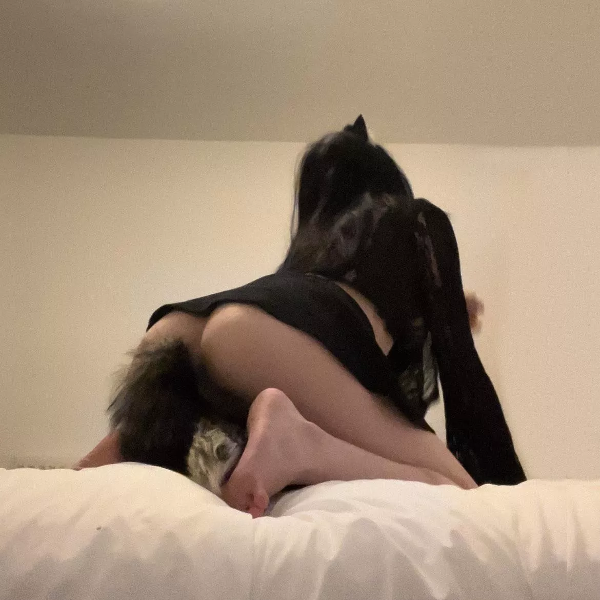 Can I sit on your face please? 🥺👉👈