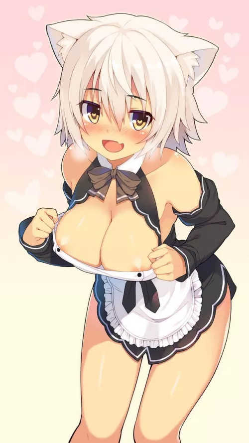 Cute neko maid