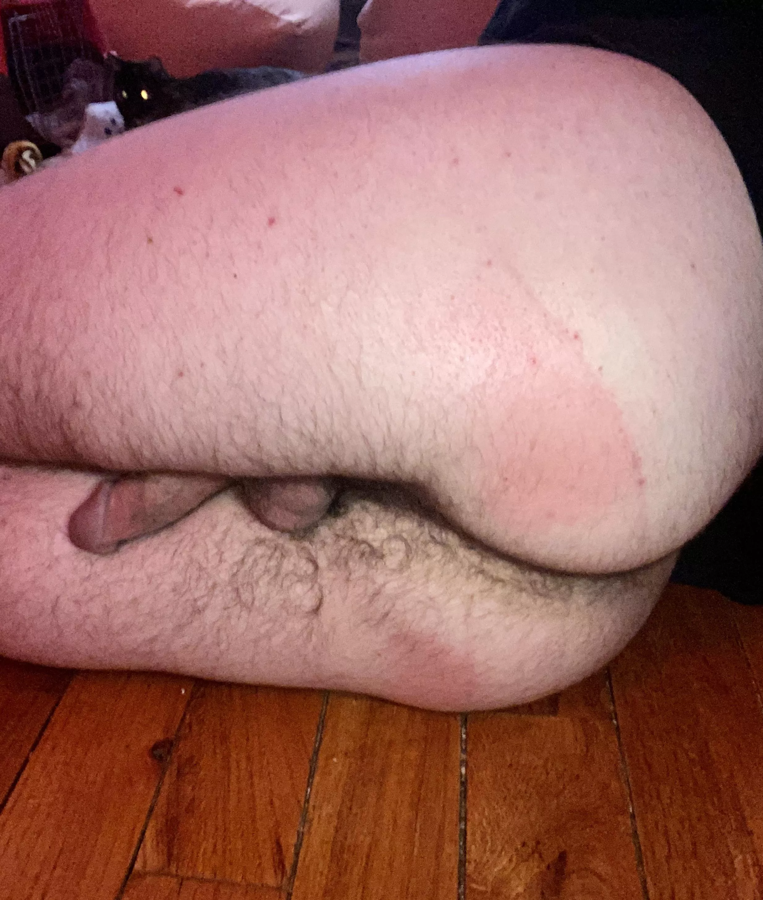 Does anyone like my hairy body (21M)