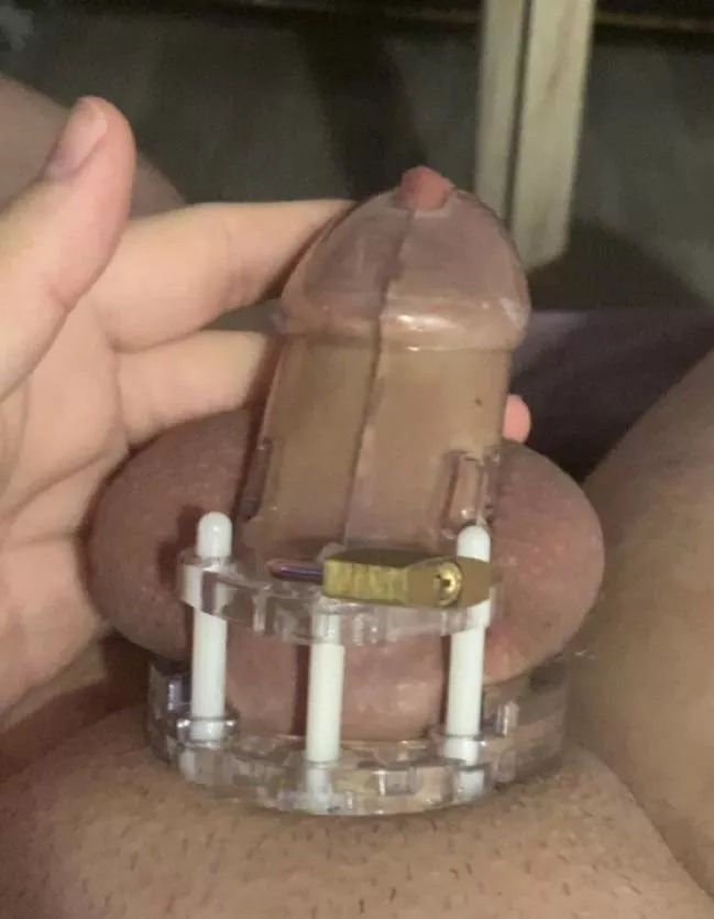 First time and I love it :3