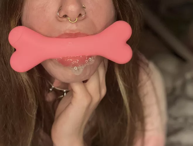 give your pet a bone? [oc]