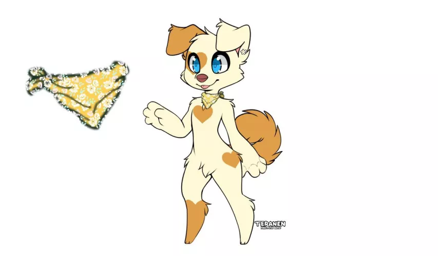 Golly the golden retriever