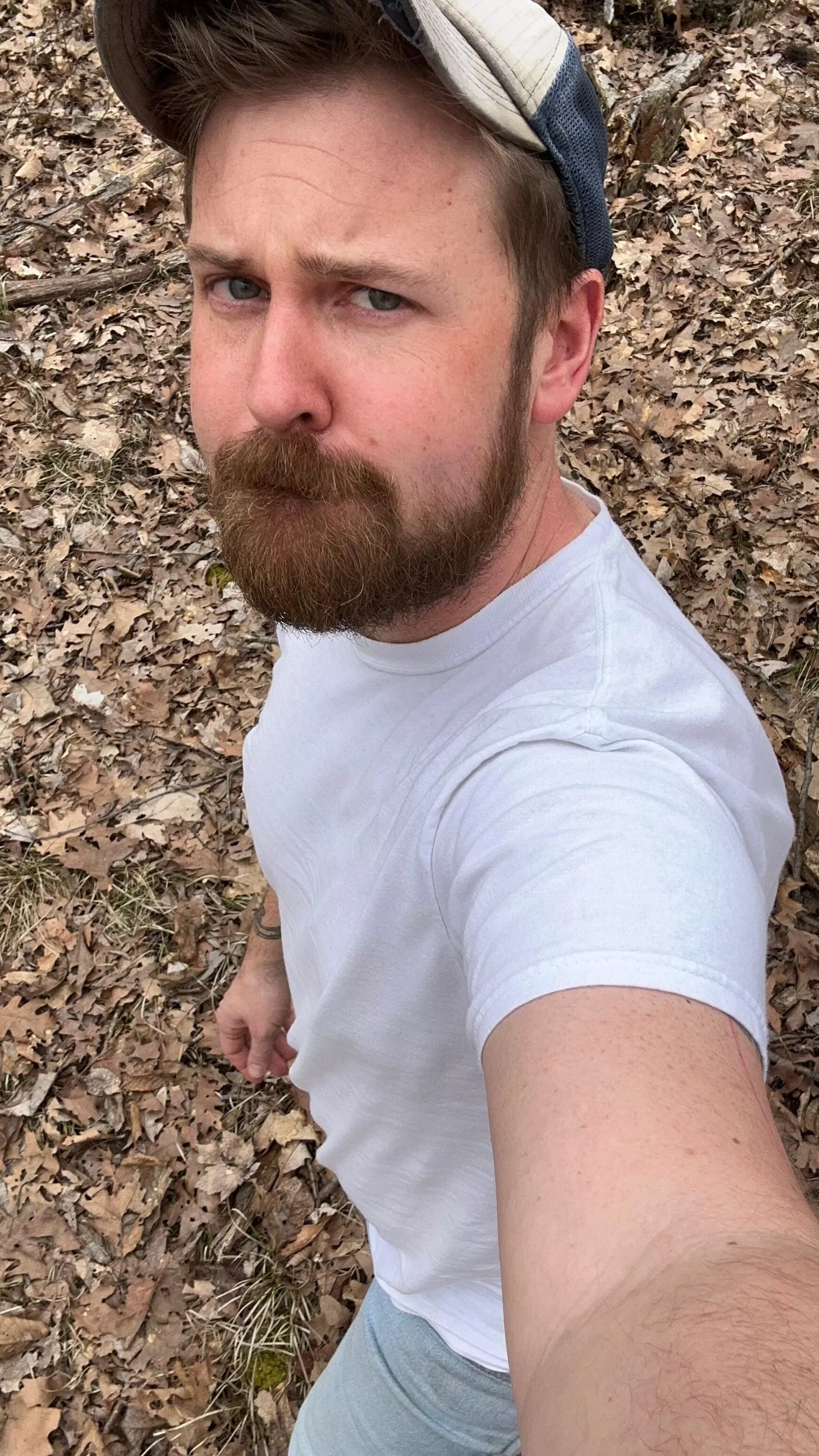 Great walk in the woods 🌲