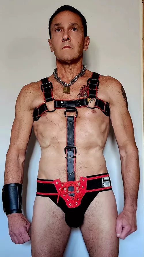 Harness, and Sport Jockstrap