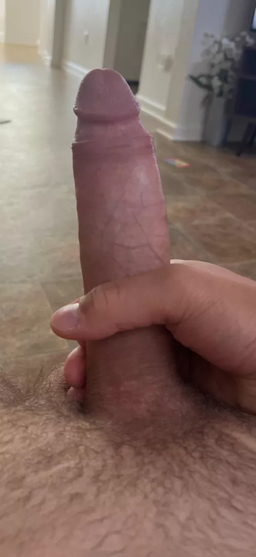 Home alone chilling, need some company