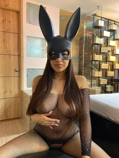 I want to be your bunny