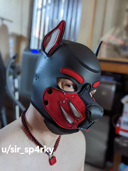 I was a good boy, he told me so 🥰