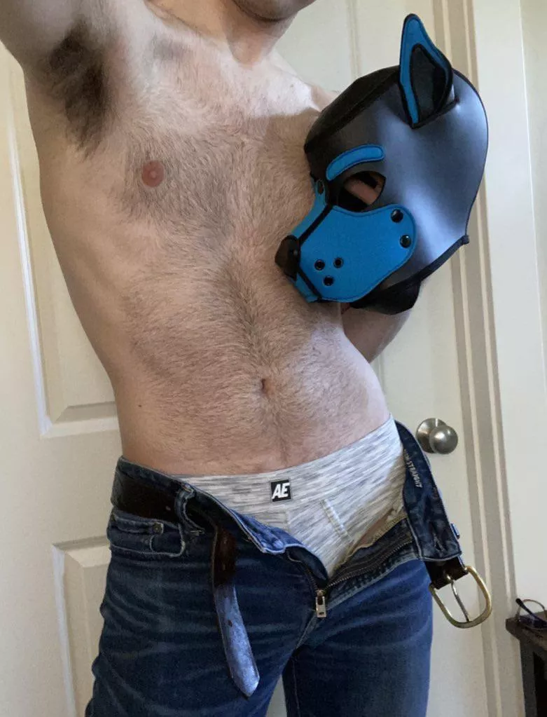 Just a pup and his hood 🐶