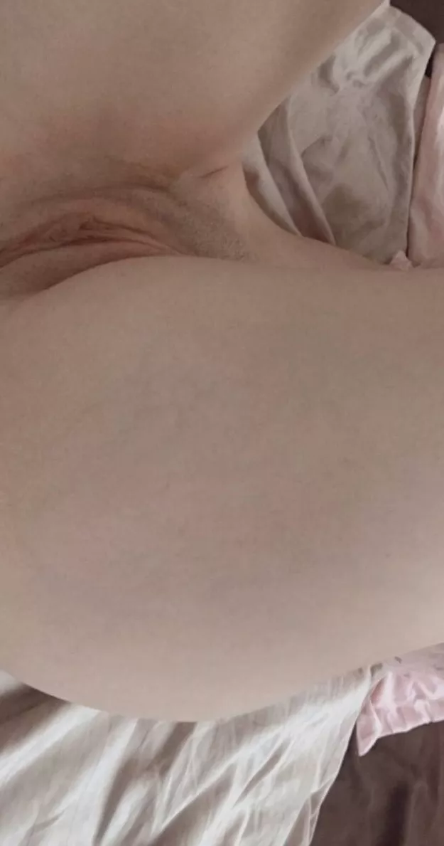 Knock knock, a snack is ready for you